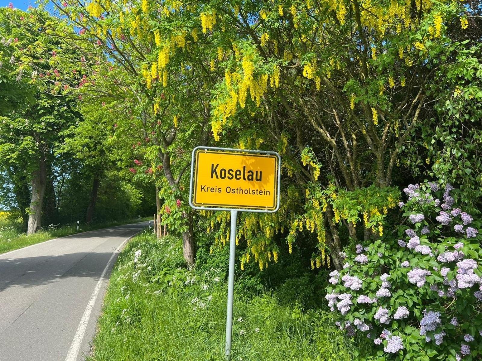 Gut Koselau Landhaus II Ngoại thất bức ảnh